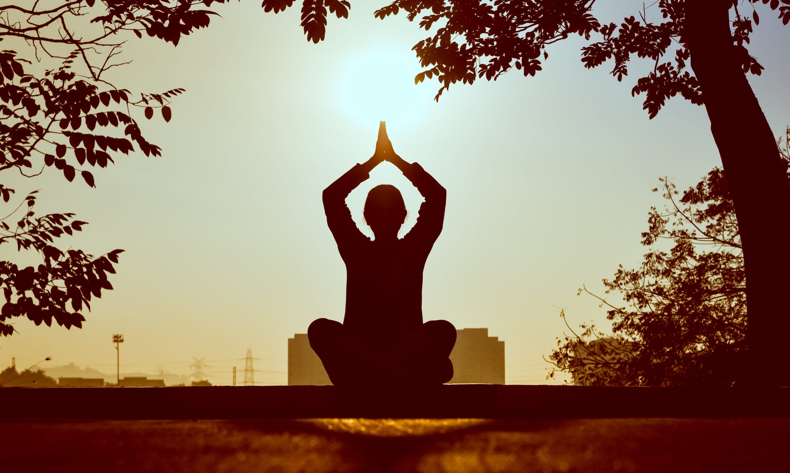 Una figura in controluce si immerge nello yoga, con le mani giunte in un gesto di serenità. Le linee fluide del corpo trasmettono un senso di armonia e concentrazione. Un momento di pace interiore in cui il corpo si congiunge con la mente nella pratica dello yoga.